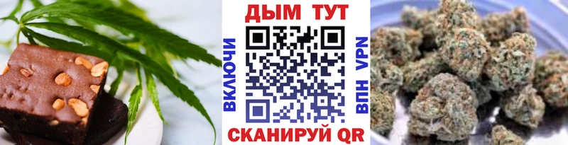 Купить закладки  Новодвинск  Еда ТГК марихуана 