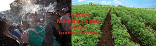 каннабис Беломорск
