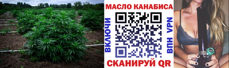 Купить  Новодвинск  Дистиллят ТГК концентрат 